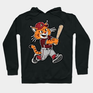 Arizona diamondbacks Hoodie